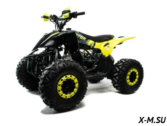 Квадроцикл MOTOLAND (МОТОЛЕНД) 125 RAPTOR A