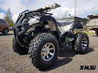КВАДРОЦИКЛ RAPTOR ATV200U LUX ALL 200СС 4Т