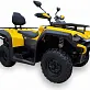 Квадроцикл HISUN GUARDIAN 400L /LONG