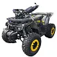 Квадроцикл TAO Motor 125 X